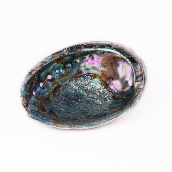 Abalone smudging shell.