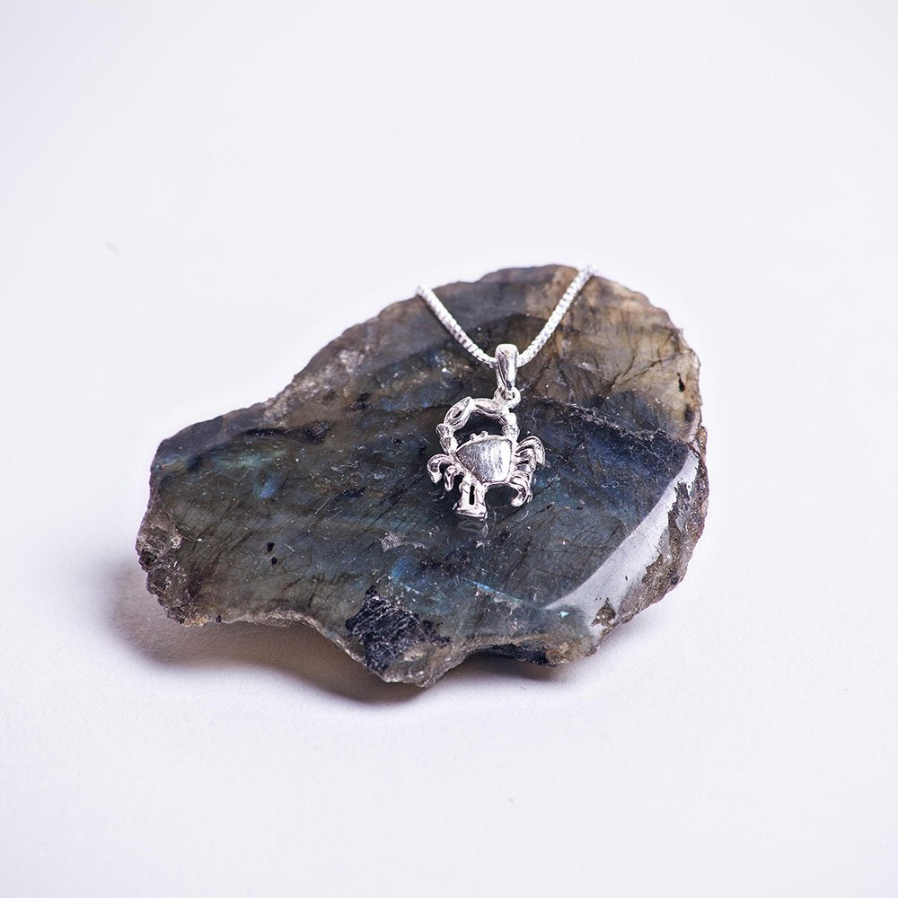Sterling silver crab charm walk your walk necklace.