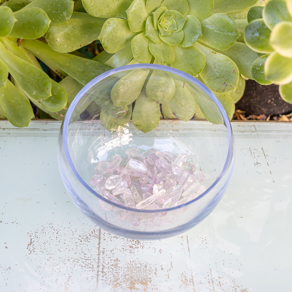 Kunzite polished stones. In a glass bowl in front of succulents.