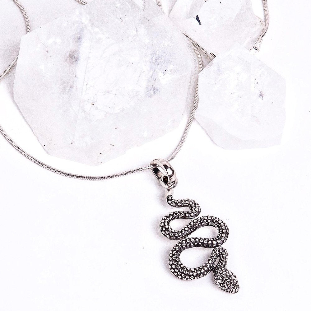 Sterling silver snake pendant creative wisdom necklace.