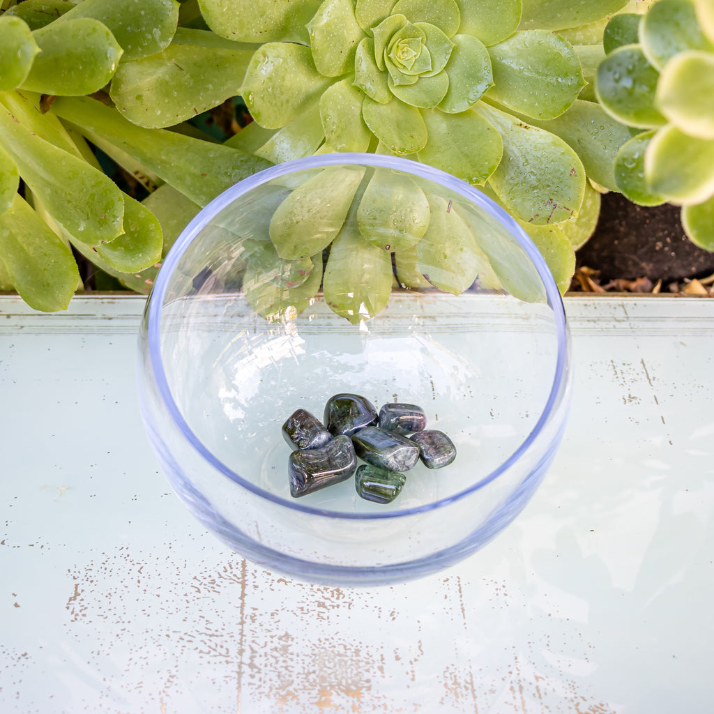 Tourmaline polished stones. In a glass bowl in front of succulents.
